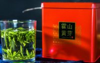 俏滋郎2023特級新茶高山濃香型手工黃茶安徽春茶明前嫩芽茶葉